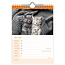 Gatos WEEKnotice calendario 2025