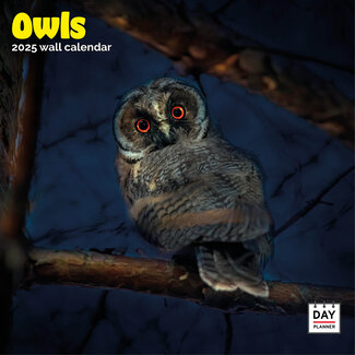 Dayplanner Owls Calendar 2025