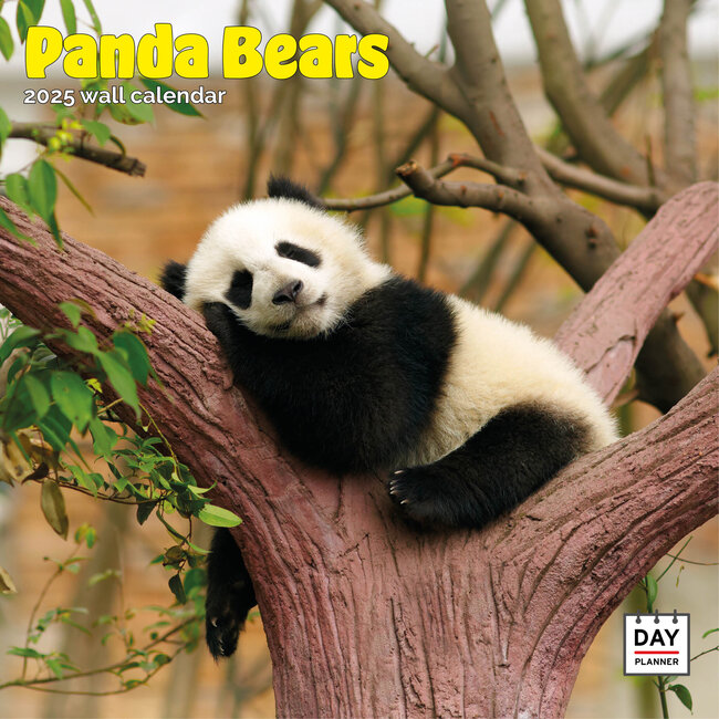 Dayplanner Panda Kalender 2025