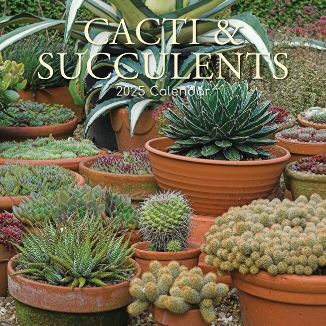 Cactus and Succulents Calendar 2025