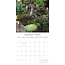 Cactus and Succulents Calendar 2025