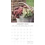 Cactus and Succulents Calendar 2025