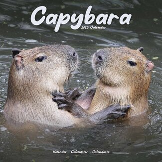 Avonside Calendario Capybara 2025