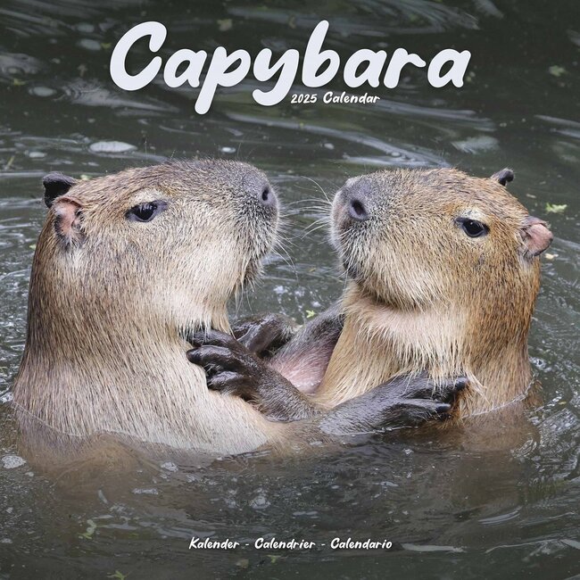 Capybara Kalender 2025