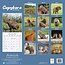 Calendario Capybara 2025