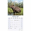 Calendario Capybara 2025