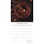 Calendrier du chocolat 2025