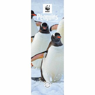 CarouselCalendars Calendario sottile WWF Pinguini 2025