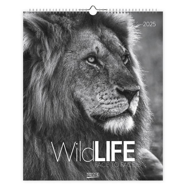 Korsch Verlag Wildlife face to Face Kalender 2025