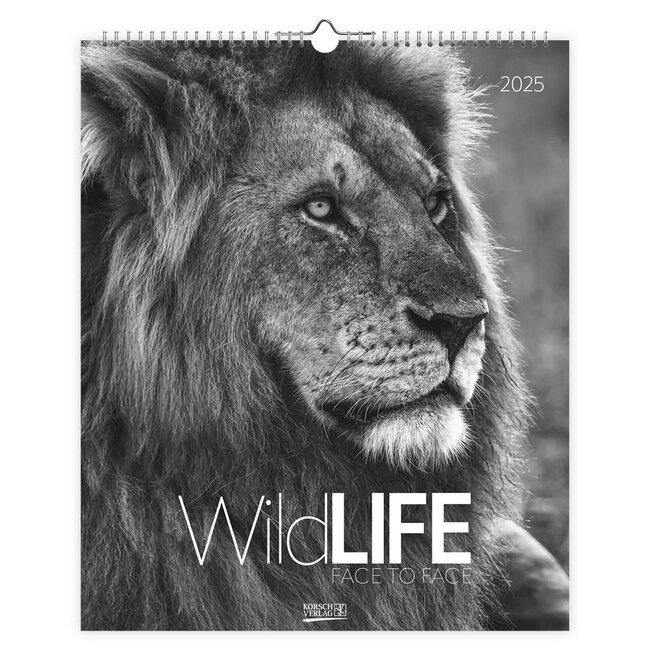 Korsch Verlag Wildtiere von Angesicht zu Angesicht Kalender 2025