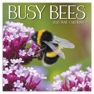 TL Turner Busy Bees Kalender 2025