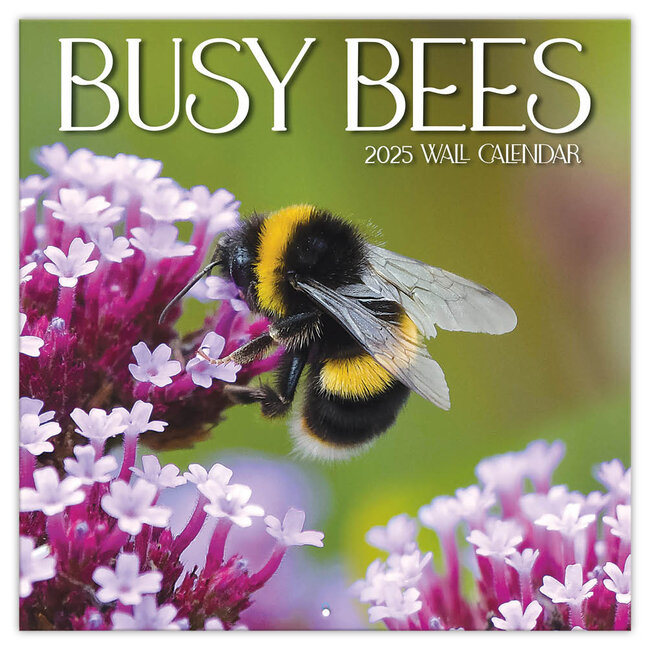 Busy Bees Kalender 2025