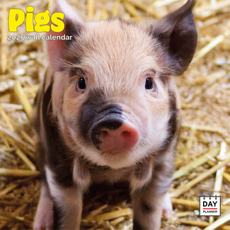 Dayplanner Pig Calendar 2025