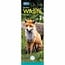 CarouselCalendars RSPCA, Britischer Wildlife Slim Kalender 2025