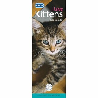 CarouselCalendars RSPCA, I Love Kittens Calendrier Slim 2025