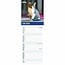 RSPCA, I Love Kittens Slim Kalender 2025