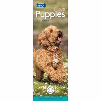 CarouselCalendars RSPCA, I Love Puppies Calendrier Slim 2025