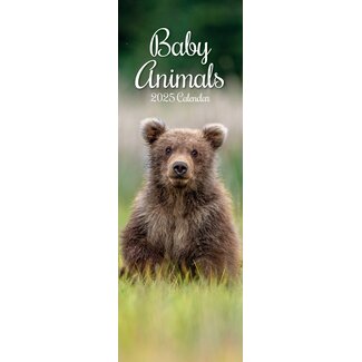 The Gifted Stationary Calendario sottile Baby Animals 2025