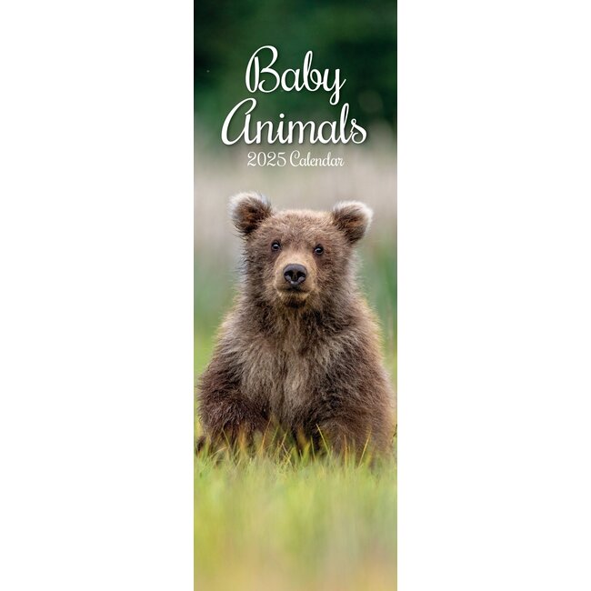 Baby Animals Slimline Kalender 2025