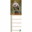 RSPB Aves Calendario Slimline 2025