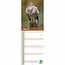 RSPB Birds Slimline Calendar 2025