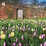 National Trust, Gardens Slimline Calendar 2025