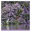 National Trust, Jardines Calendario Slimline 2025