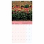 National Trust, Gardens Slimline Calendar 2025