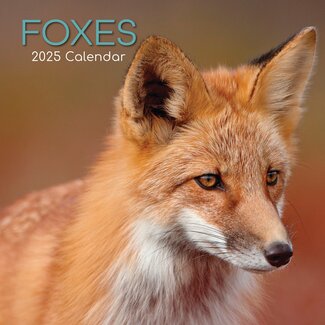 The Gifted Stationary Foxes Calendar 2025