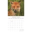 Foxes Calendar 2025