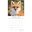 Foxes Calendar 2025