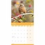 RSPB, Calendario degli uccelli da giardino 2025