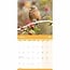 RSPB, Gartenvogel-Kalender 2025