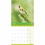 RSPB, Garden Bird Calendar 2025