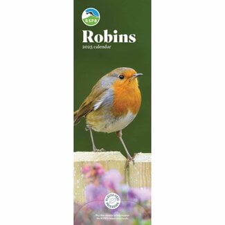 CarouselCalendars RSPB Roodborstjes Slimline Kalender 2025