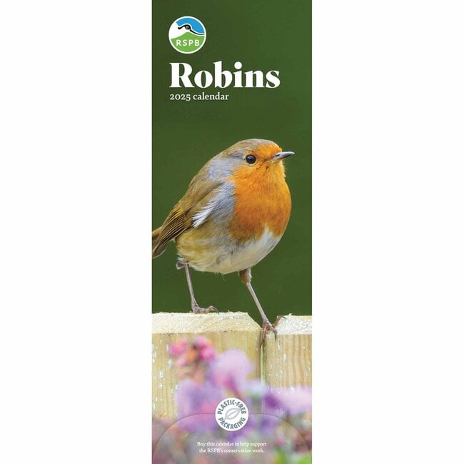 Calendario sottile RSPB Robins 2025