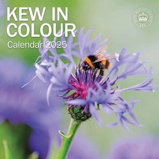 CarouselCalendars Jardins botaniques, Kew Calendrier en couleur 2025