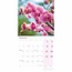 Jardins botaniques, Kew Calendrier en couleur 2025