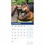 RSPCA, Calendario Británico de Caballos y Ponis 2025