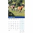 RSPCA, calendrier britannique des chevaux et des poneys 2025