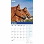 RSPCA, Calendario Británico de Caballos y Ponis 2025