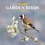 Garden Birds Calendar 2025 Mini