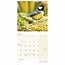 Calendario de aves de jardín 2025 Mini