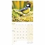 Calendrier des oiseaux de jardin 2025 Mini