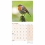 Garden Birds Kalender 2025 Mini