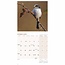 Calendario de aves de jardín 2025 Mini