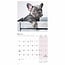 Franse Bulldog Kalender 2025 Mini