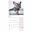 French Bulldog Calendar 2025 Mini