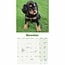 English Cocker Spaniel Welpen Kalender 2025 Mini