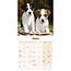 Jack Russell Terrier Puppies Kalender 2025 Mini